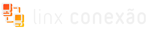 Linx conexão